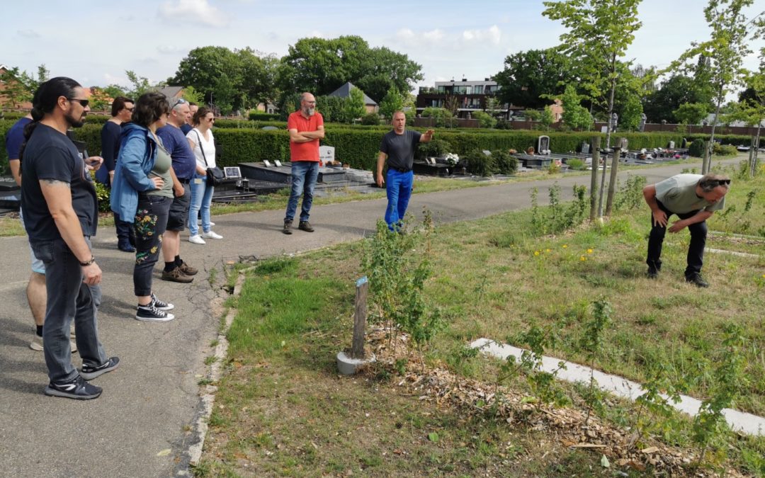 Adviesverlening vergroenen begraafplaats Turnhout