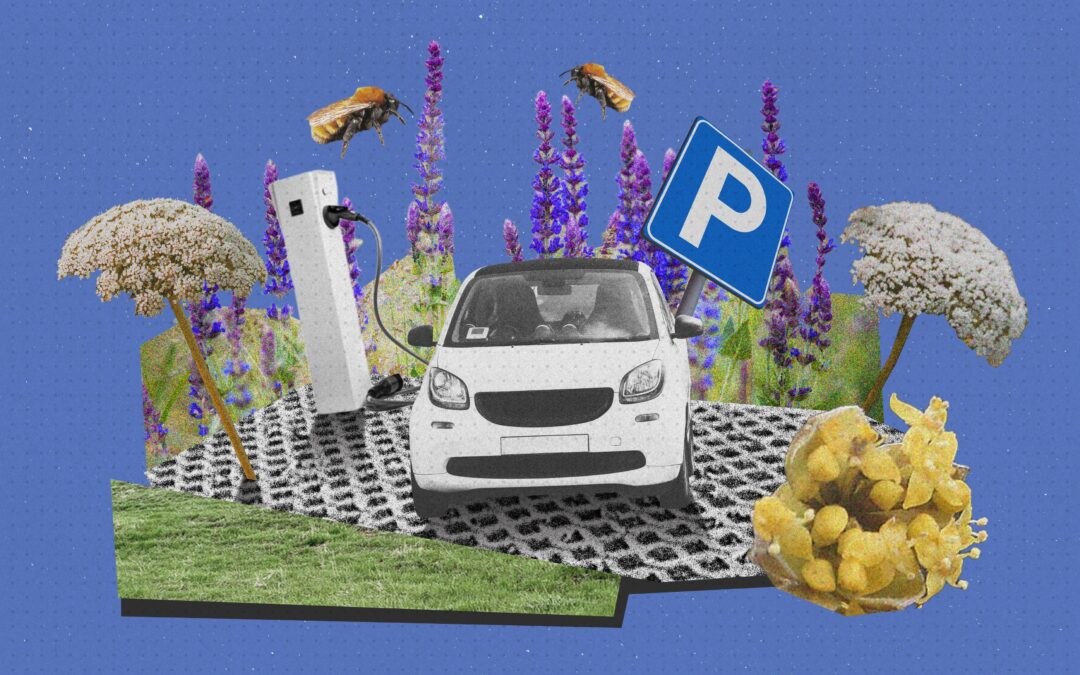 Studiedag over biodiversiteit op je parkeerterrein