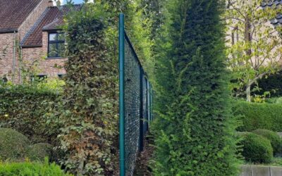 Tuin en wet