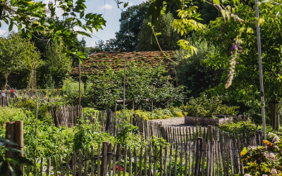 Samen-tuin-dag Ambertuin