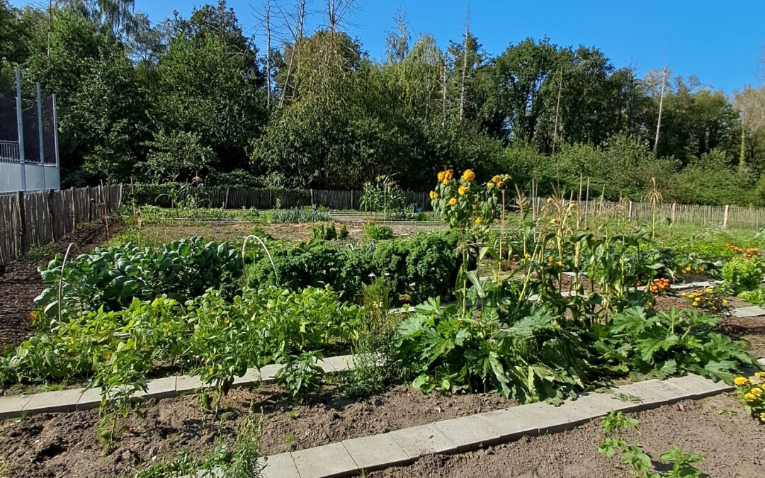 Inhuldiging Samentuin Schoonbeek