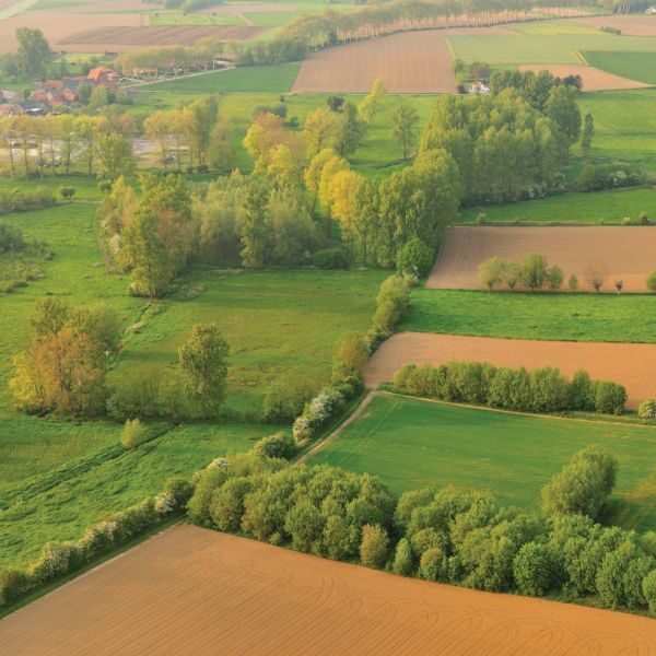 Yves Adams Vildaphoto