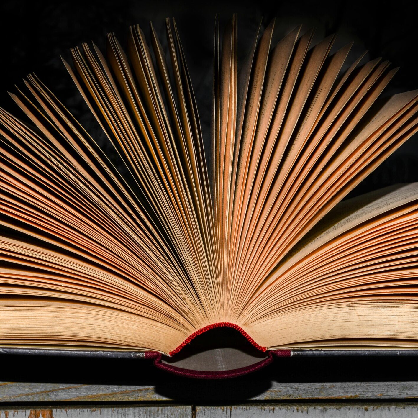 literature-book-open-pages-1005324